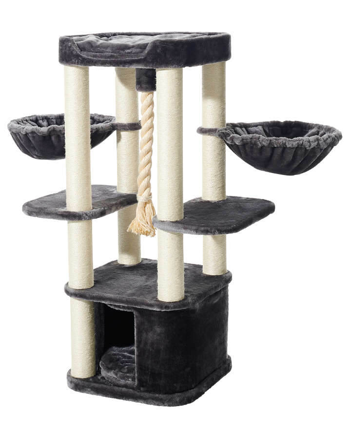 Nobby Kratzbaum Mugla